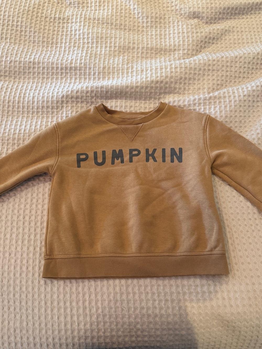 Pumpkin Graphic Sweatshirt - Camel Brown